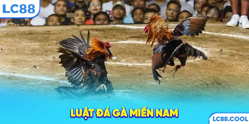 Luật đá gà miền Nam